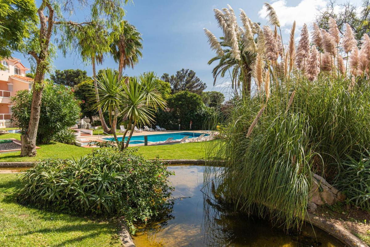 Apartment Luxury Colina Park *