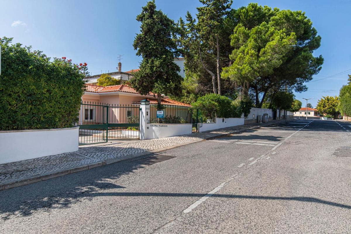 Apartment Luxury Colina Park *